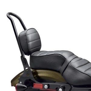 Almohadilla del respaldo del asiento del acompañante – Estilo XL883N Iron
